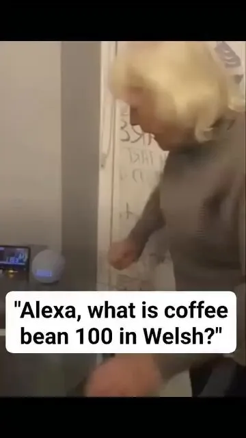 Coffe Bean 100 in Welsh