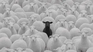 There's always one
